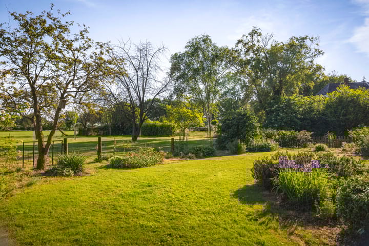 Photo 15 of Borgersteeg 1