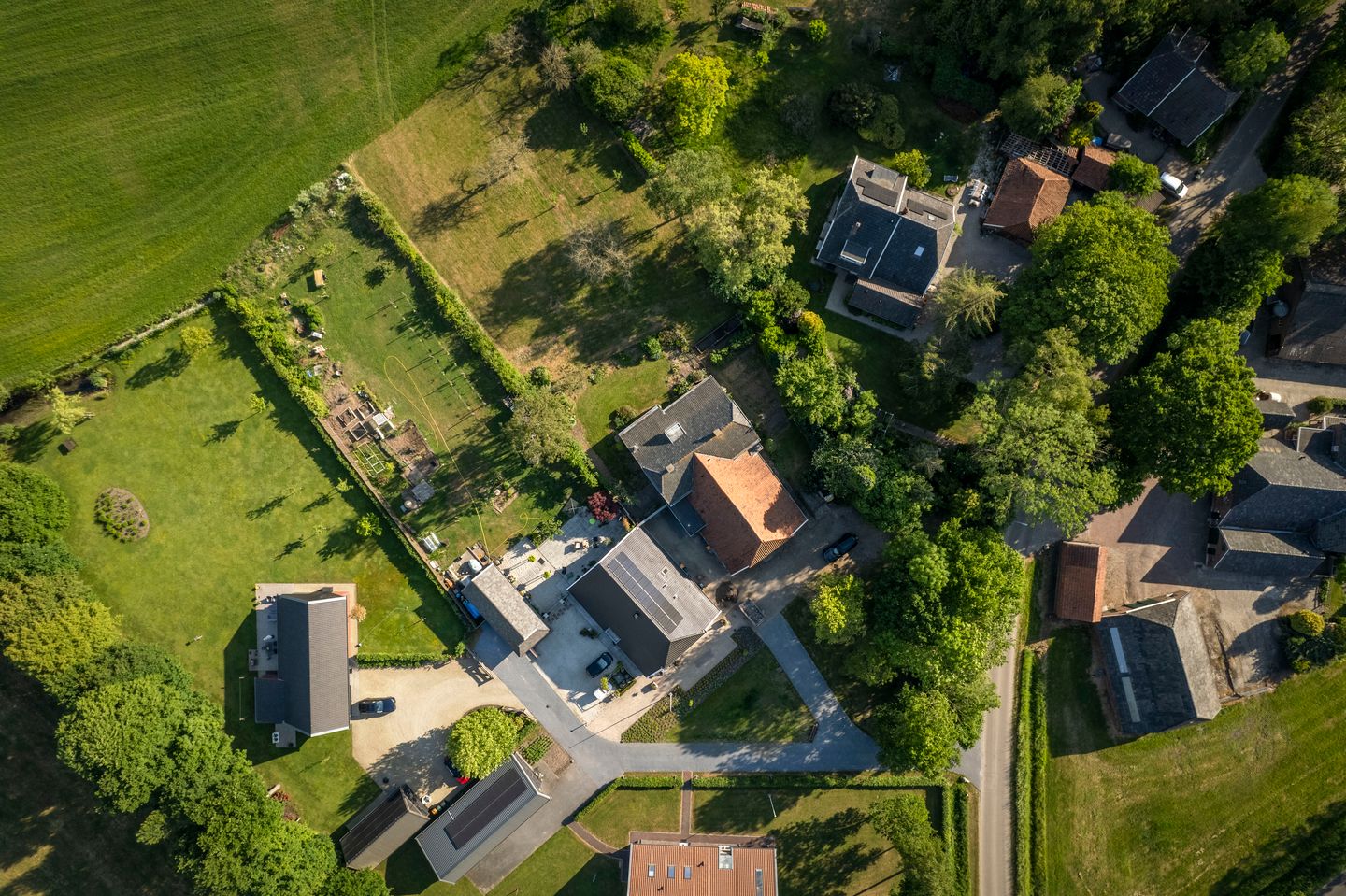 Foto 20 van Borgersteeg 1