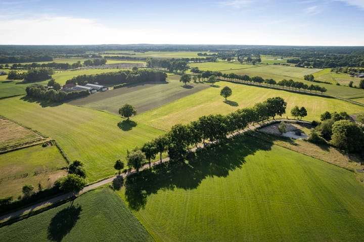 Photo 21 of Borgersteeg 1