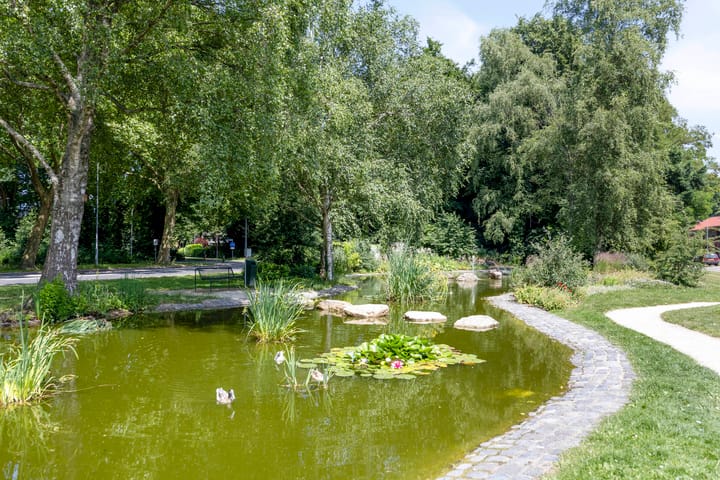 Photo 27 of Veldkamp 48