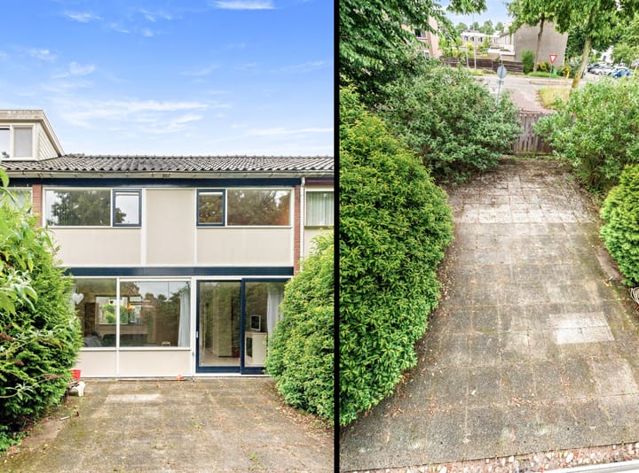 Foto 9 van de Elzen 28