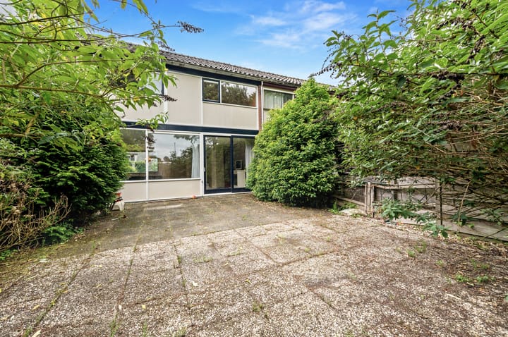 Foto 10 van de Elzen 28