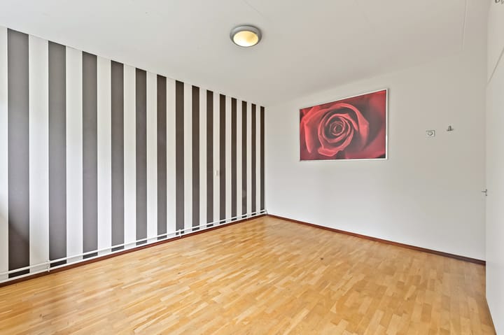 Foto 19 van de Elzen 28