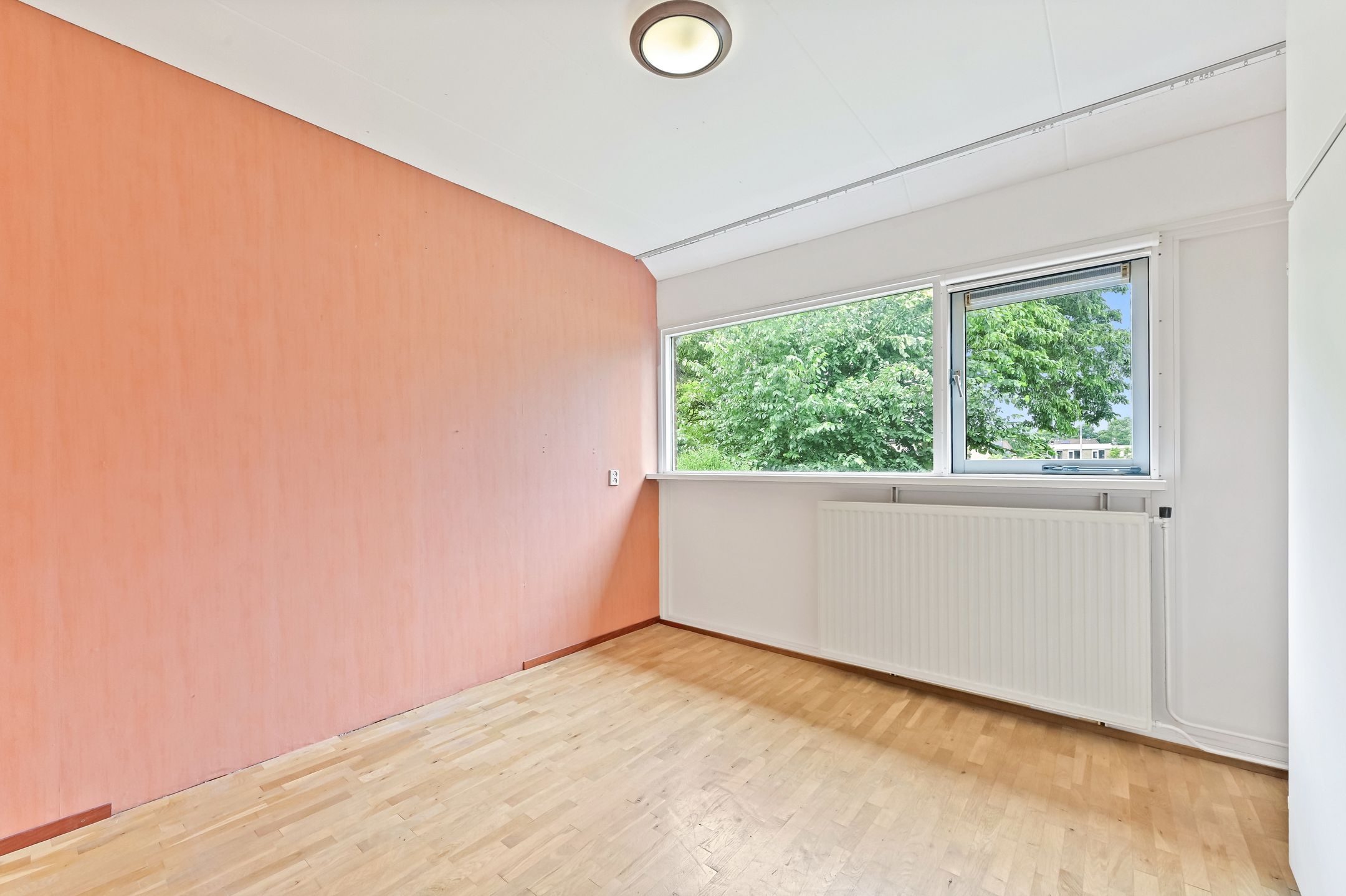 Foto 21 van de Elzen 28