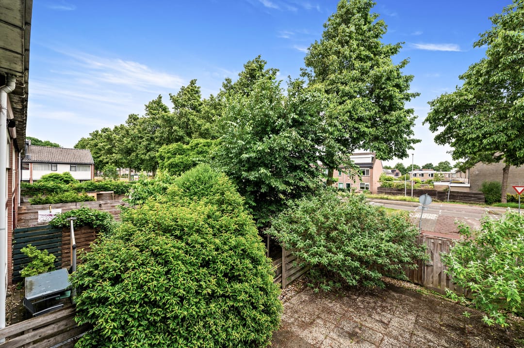 Foto 23 van de Elzen 28