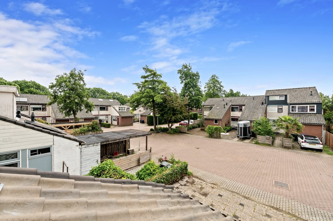 Foto 31 van de Elzen 28