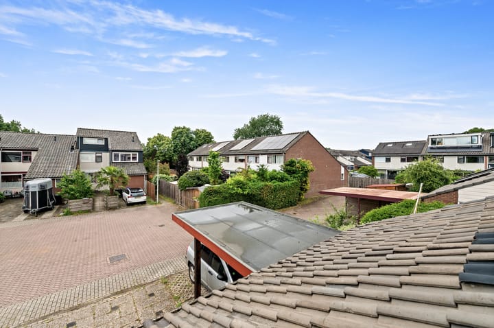 Foto 32 van de Elzen 28