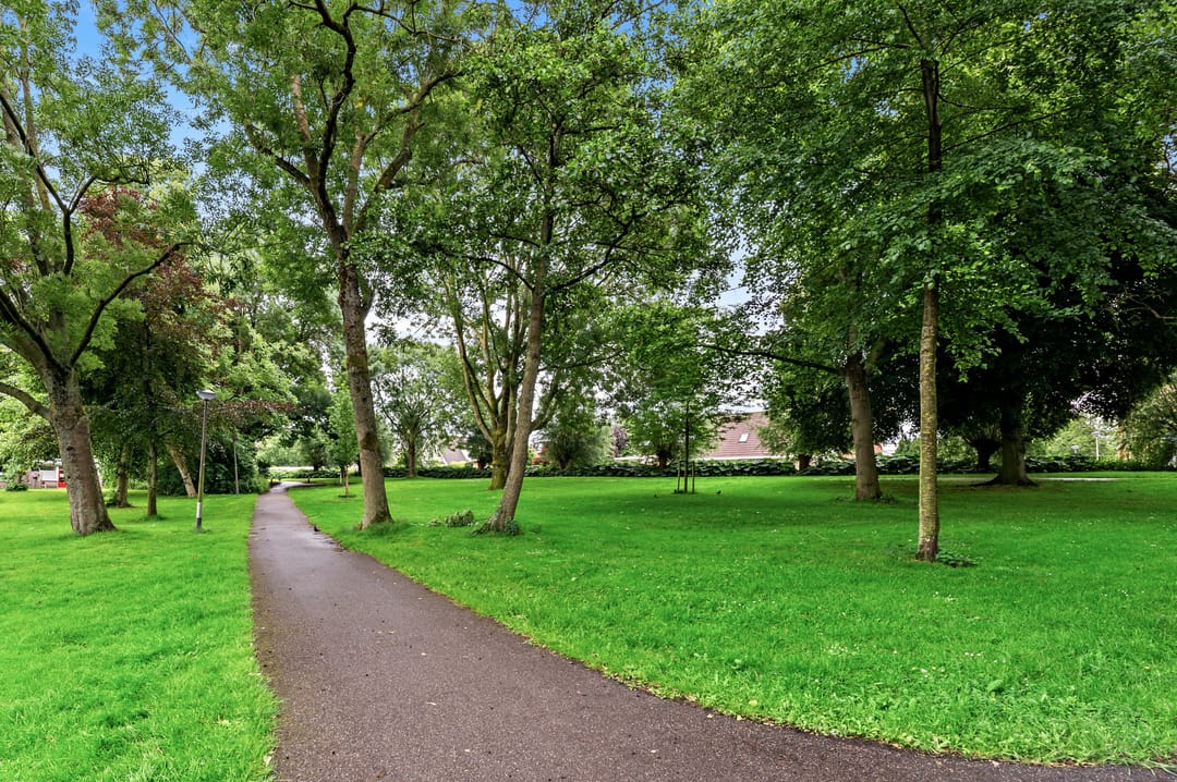 Foto 43 van de Elzen 28