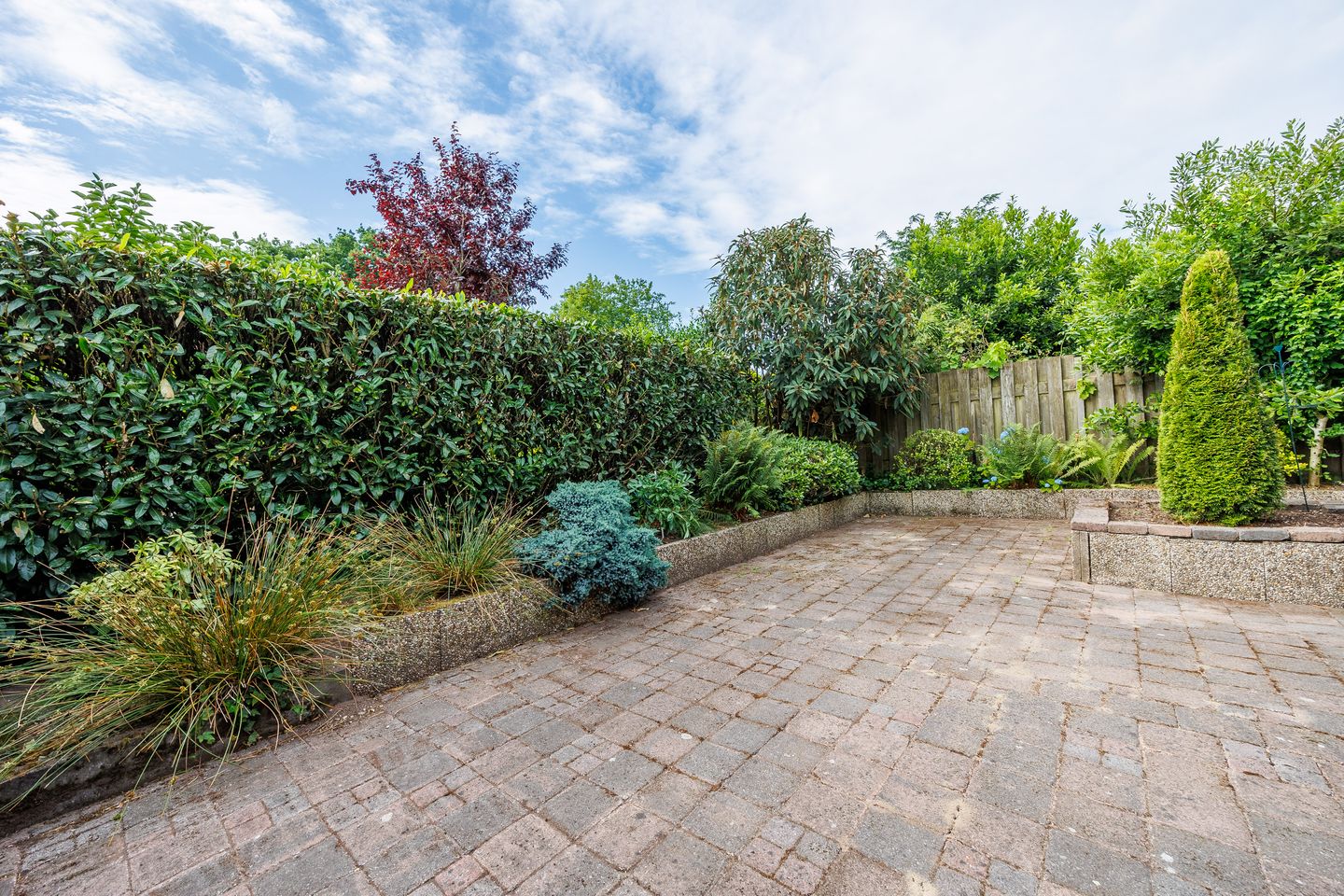 Foto 25 van den Brier 111