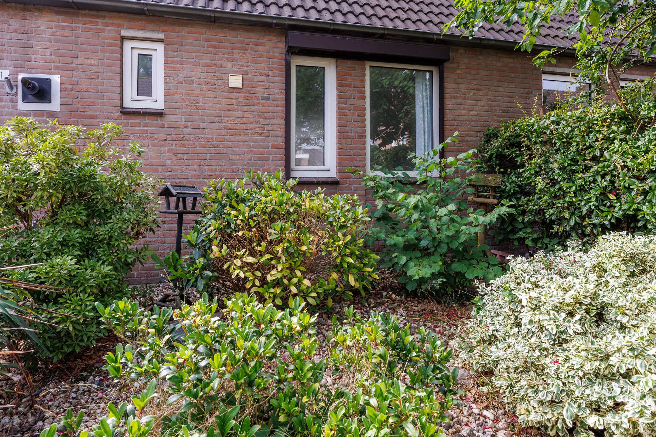 Foto 30 van den Brier 111