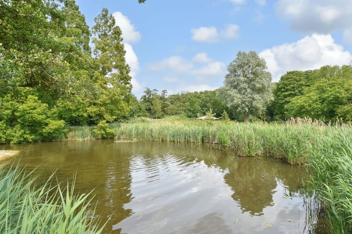 Foto 45 van Du Perronhove 5