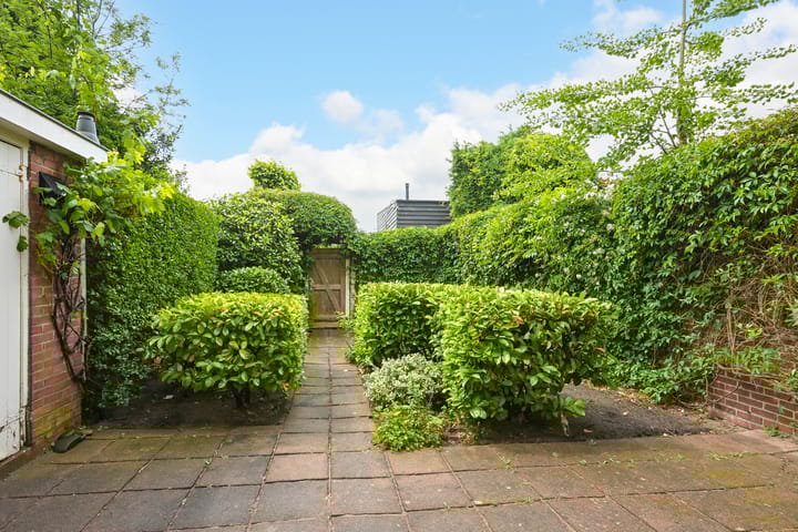 Foto 19 van Van Alkemadelaan 98