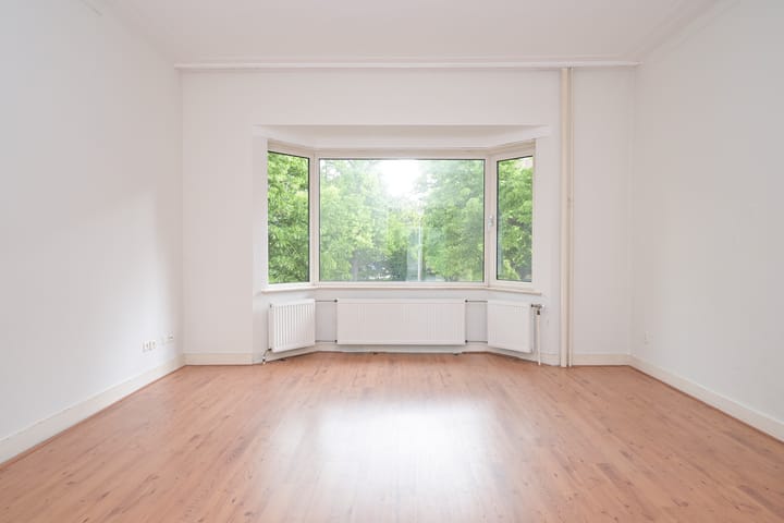 Foto 30 van Van Alkemadelaan 98