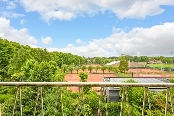 Foto 47 van Van Alkemadelaan 98