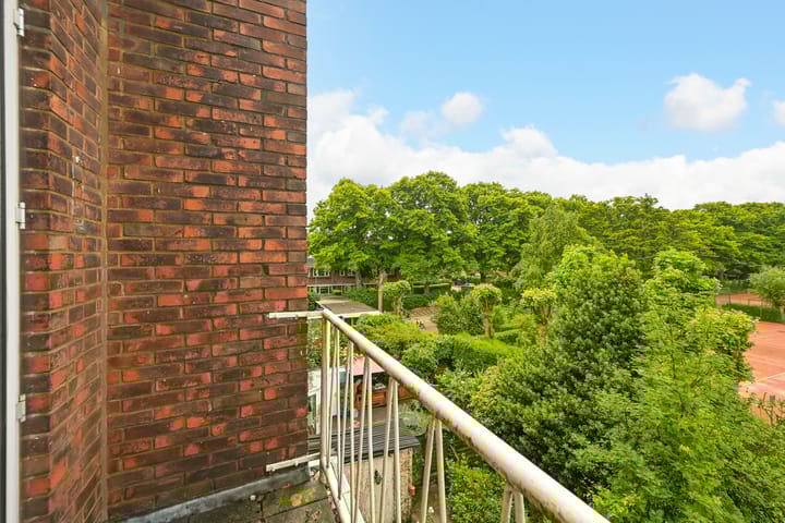 Foto 49 van Van Alkemadelaan 98