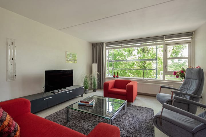 Foto 8 van Buizerdlaan 163