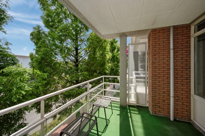 Foto 28 van Buizerdlaan 163