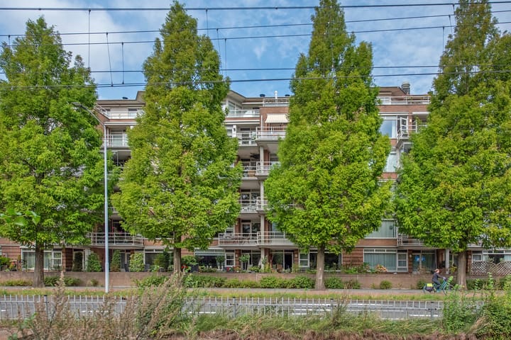 Foto 30 van Buizerdlaan 163