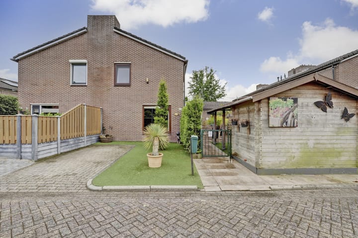 undefined main image