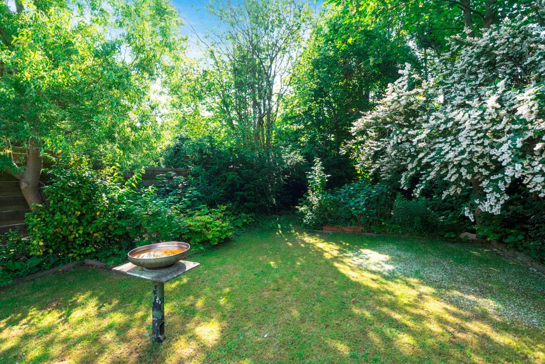 Foto 30 van Baafjeslaan 13