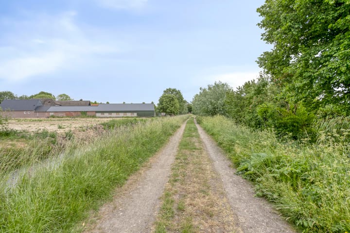 Photo 51 of Meester van Coothstraat 18-A