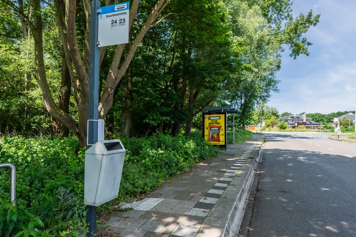 Foto 50 van Muurbloemweg 61