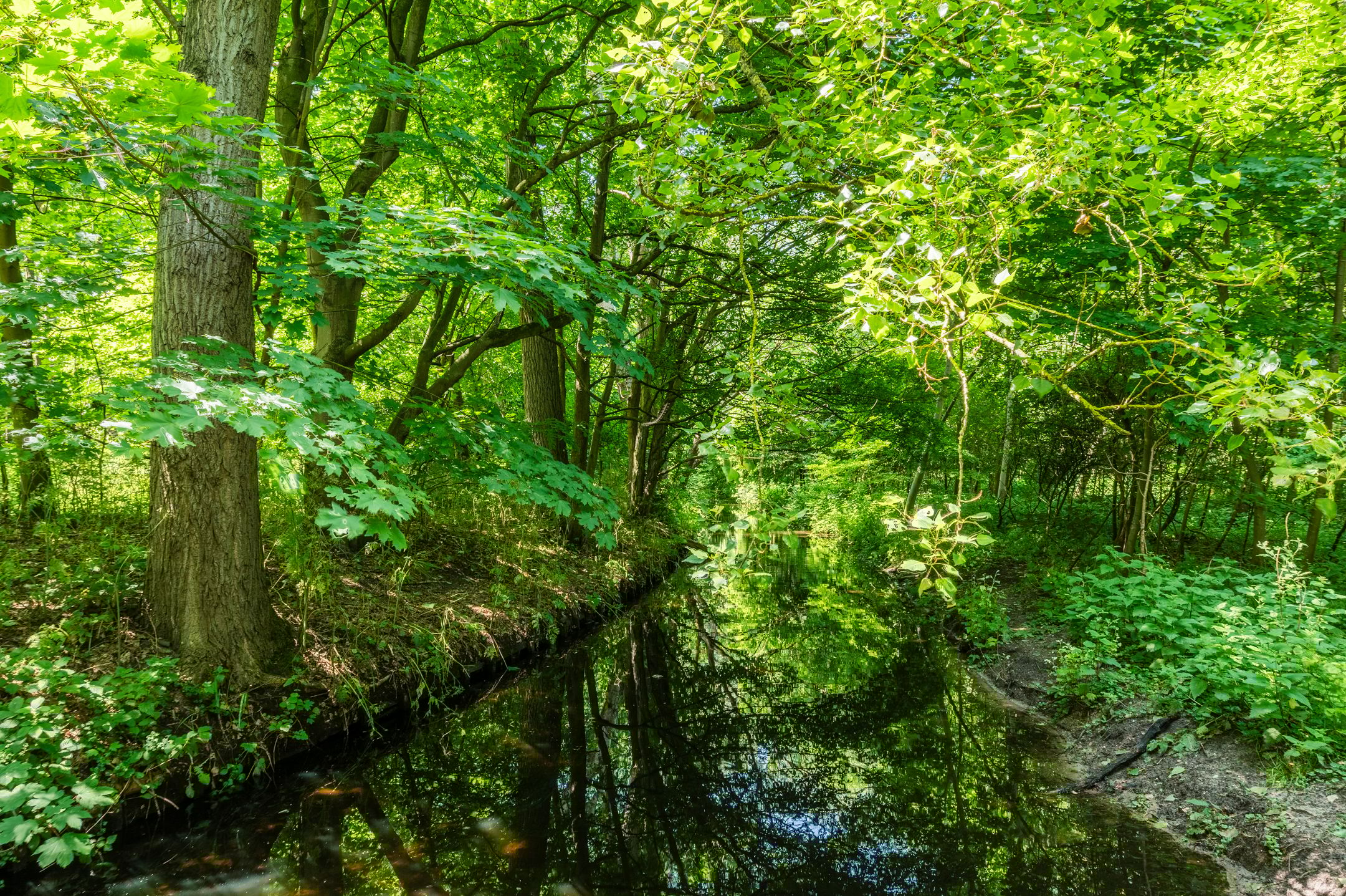 Foto 51 van Muurbloemweg 61