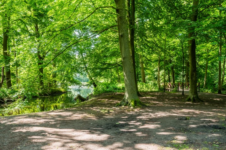 Foto 52 van Muurbloemweg 61