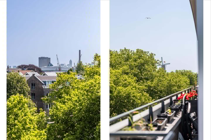 Foto 42 van Nieuwe Haven 87-E