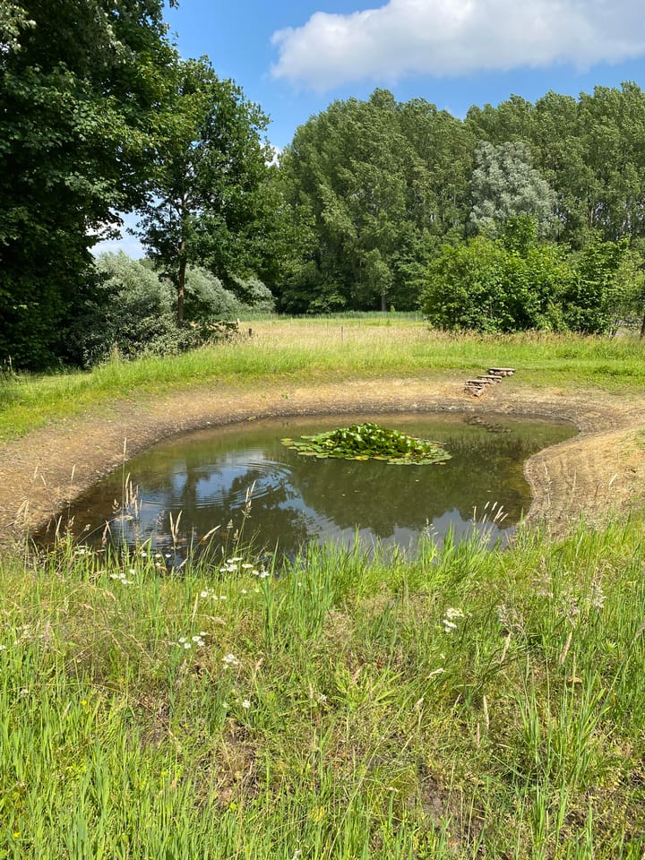 Foto 51 van Broekstraat 32