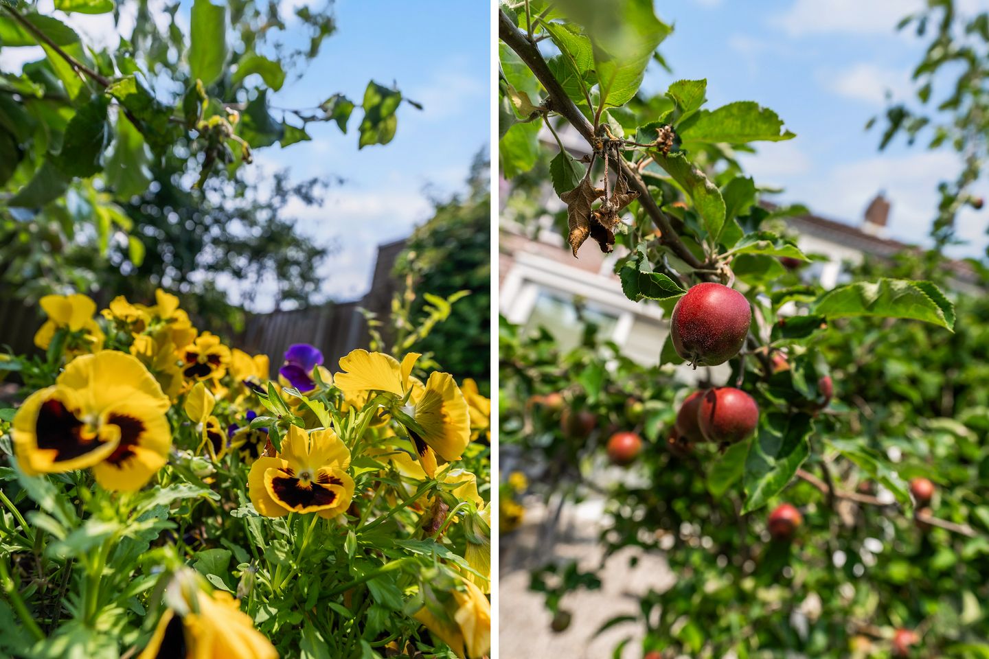 Photo 29 of Ebstroom 32