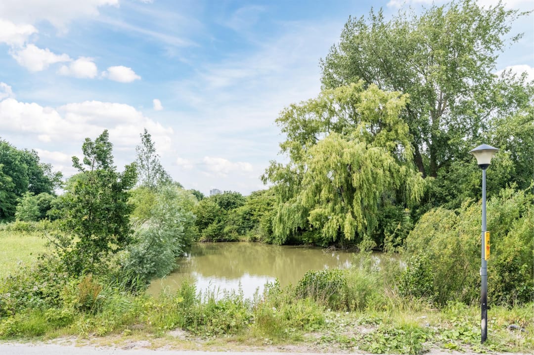 Photo 58 of Oyevaerswey 27