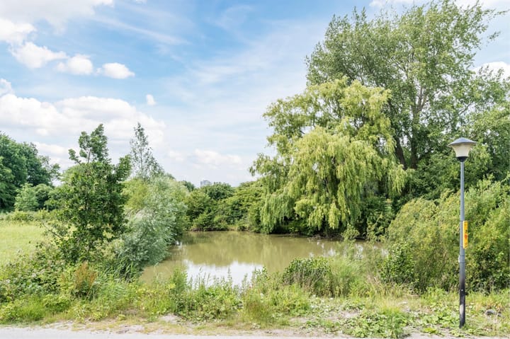 Foto 58 van Oyevaerswey 27