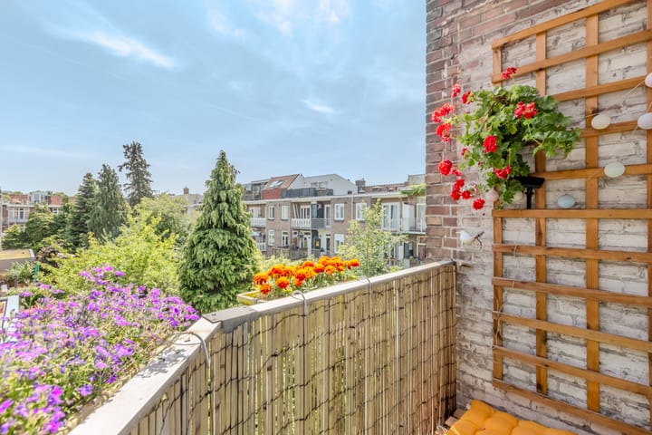 Foto 25 van Fraunhoferstraat 26