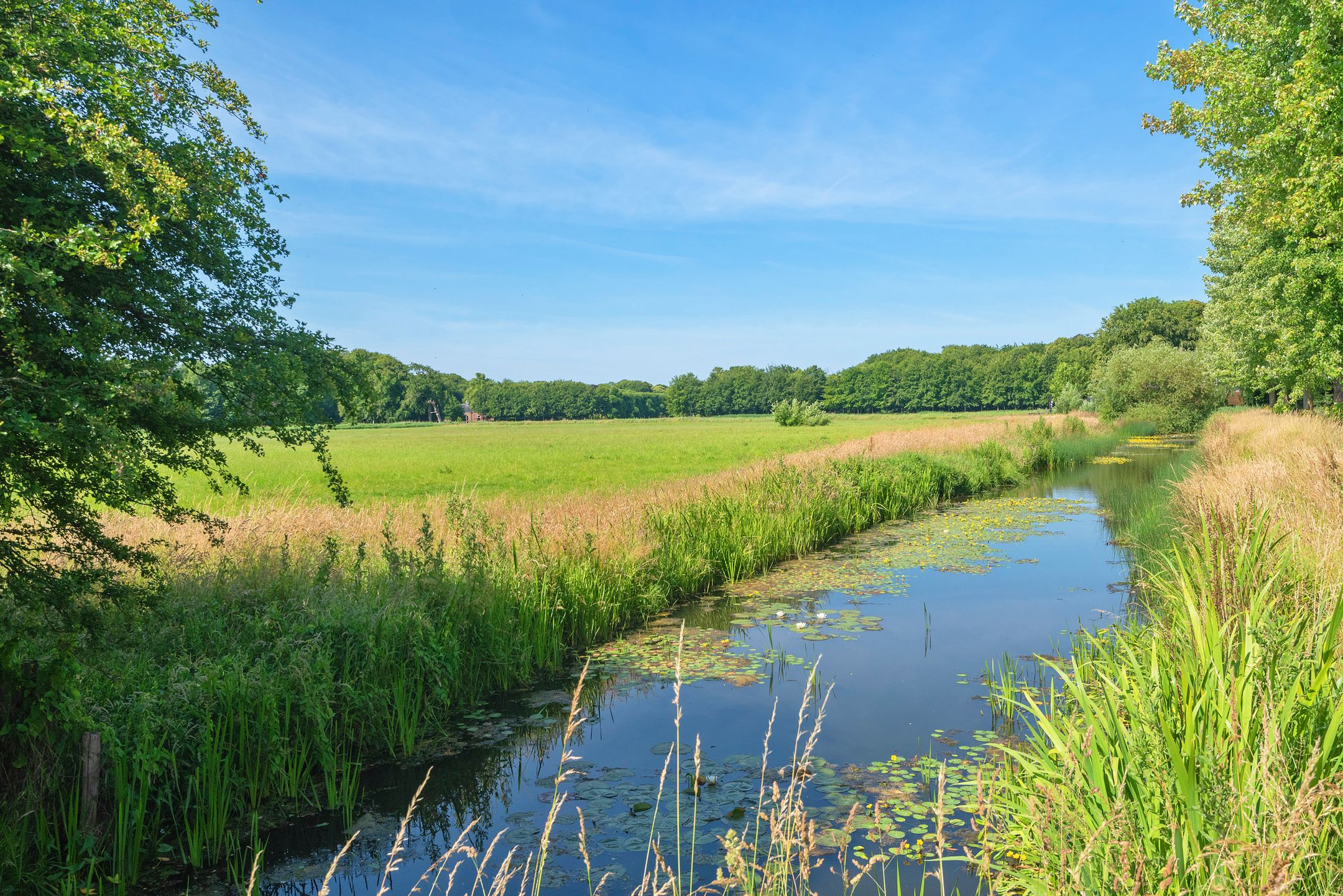 Photo 3 of Leendert Meeszstraat 92