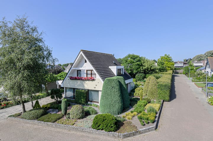 Foto 1 van Abraham Bloemaerthoek 10