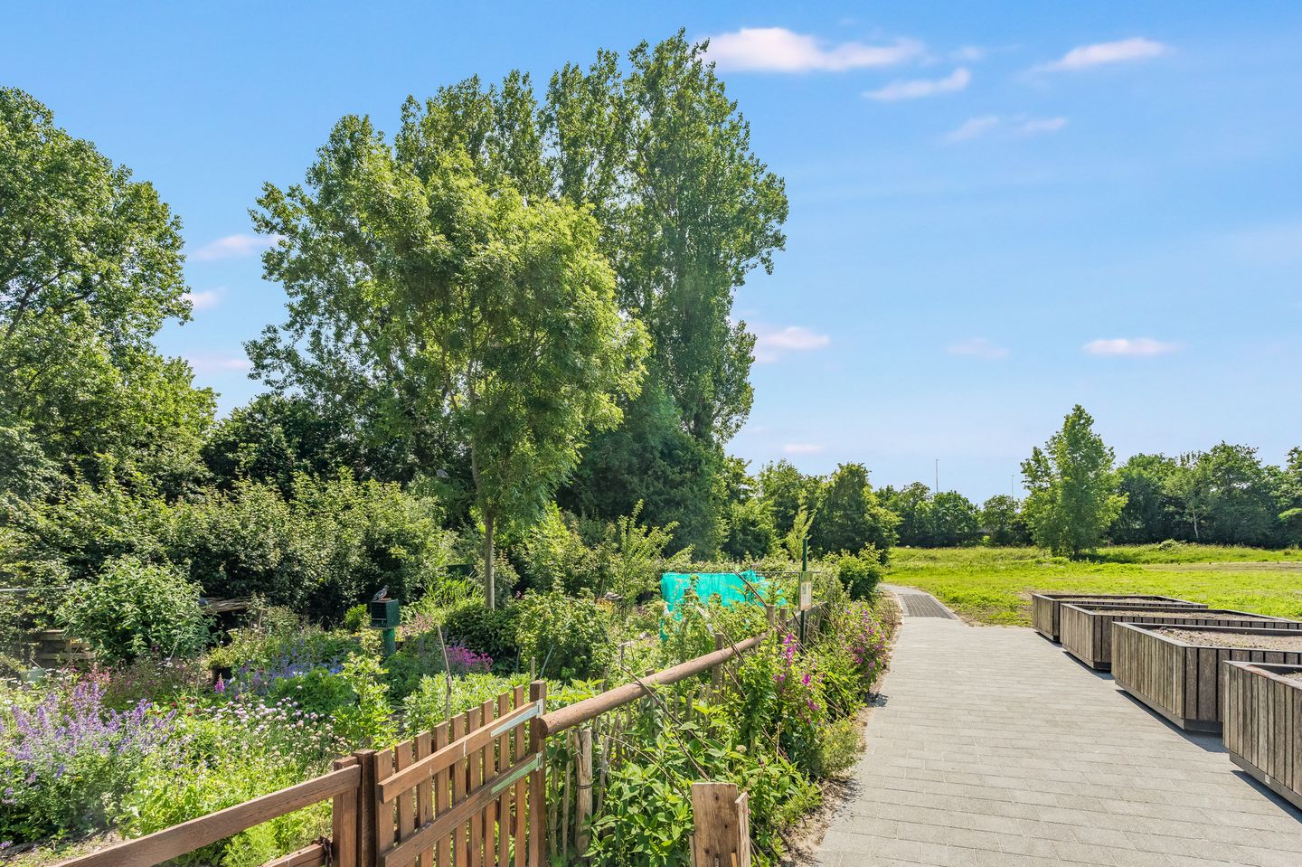 Foto 44 van Gaasterlandstraat 40