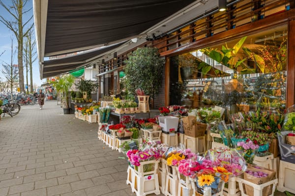 Foto 50 van Gaasterlandstraat 40