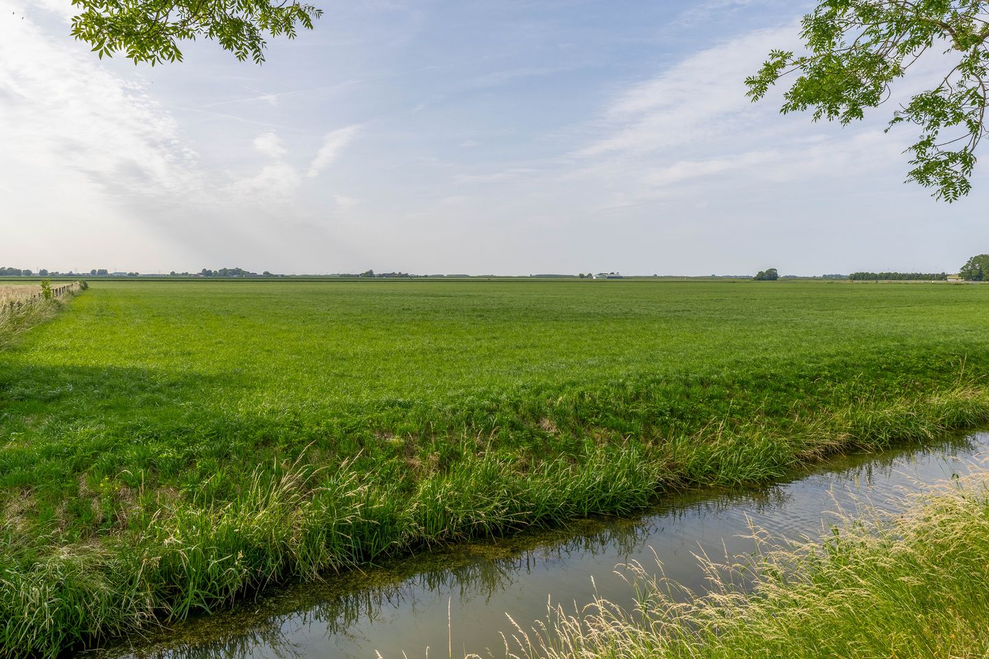 Foto 10 van Noorderlicht 35