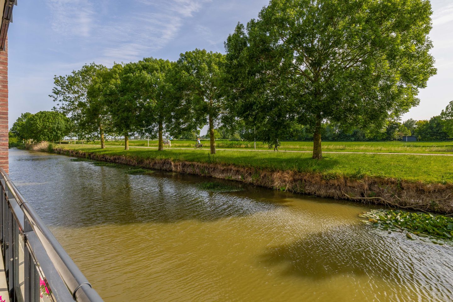 Foto 29 van Noorderlicht 35