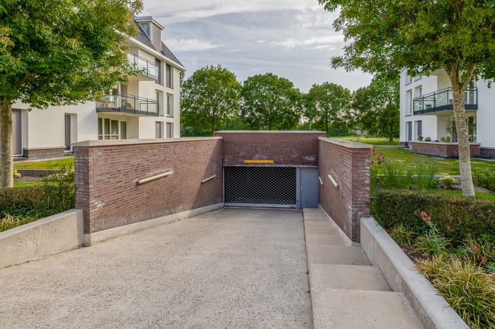 Foto 42 van Noorderlicht 35