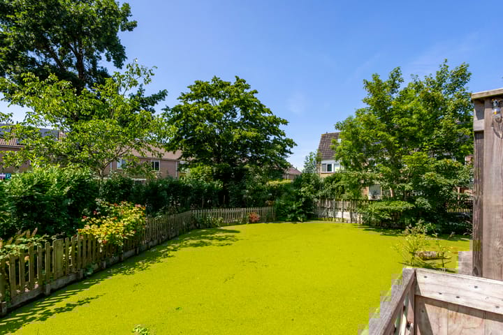 Foto 3 van Van den Boetzelaerlaan 85