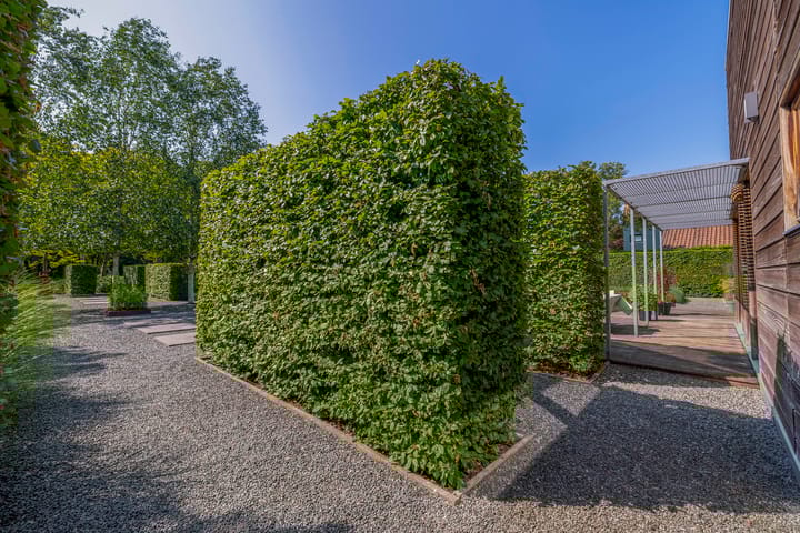 Foto 36 van Bakboord 24