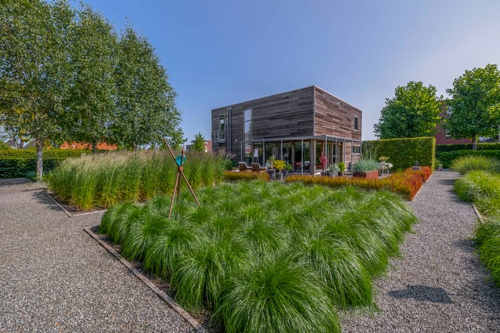 Foto 42 van Bakboord 24