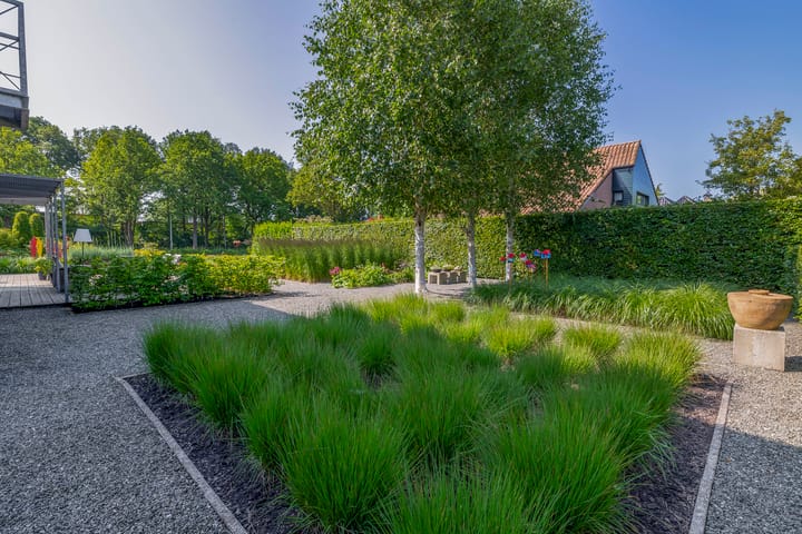 Foto 45 van Bakboord 24