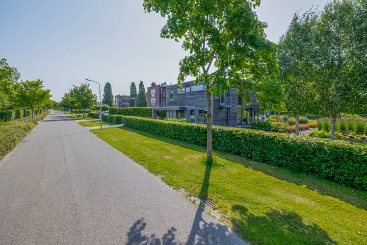 Foto 52 van Bakboord 24