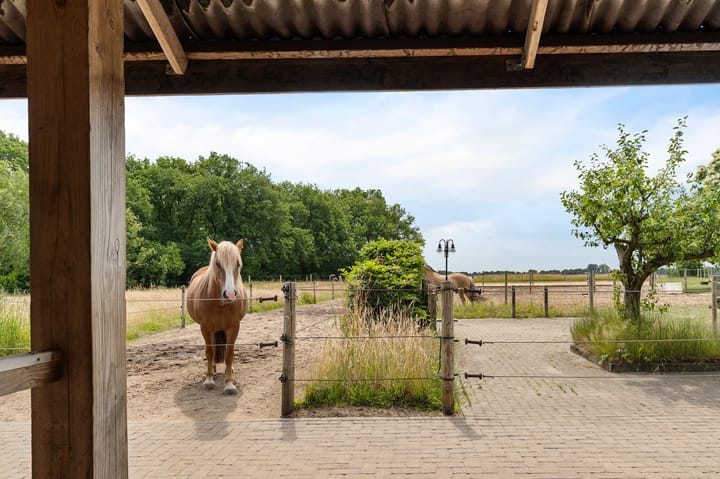 Foto 49 van Hegenzand 13