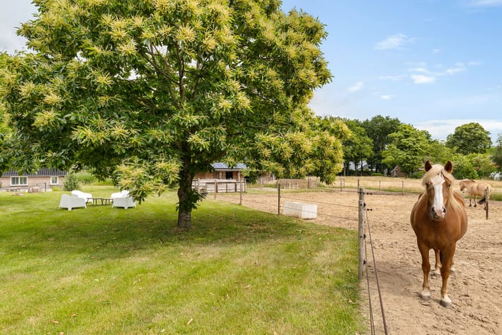 Foto 51 van Hegenzand 13