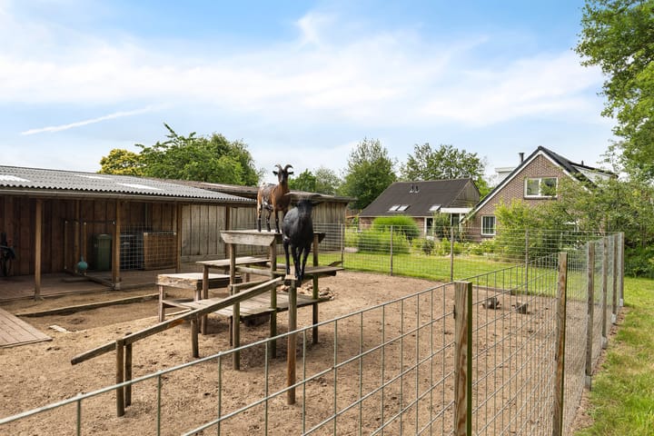 Foto 53 van Hegenzand 13