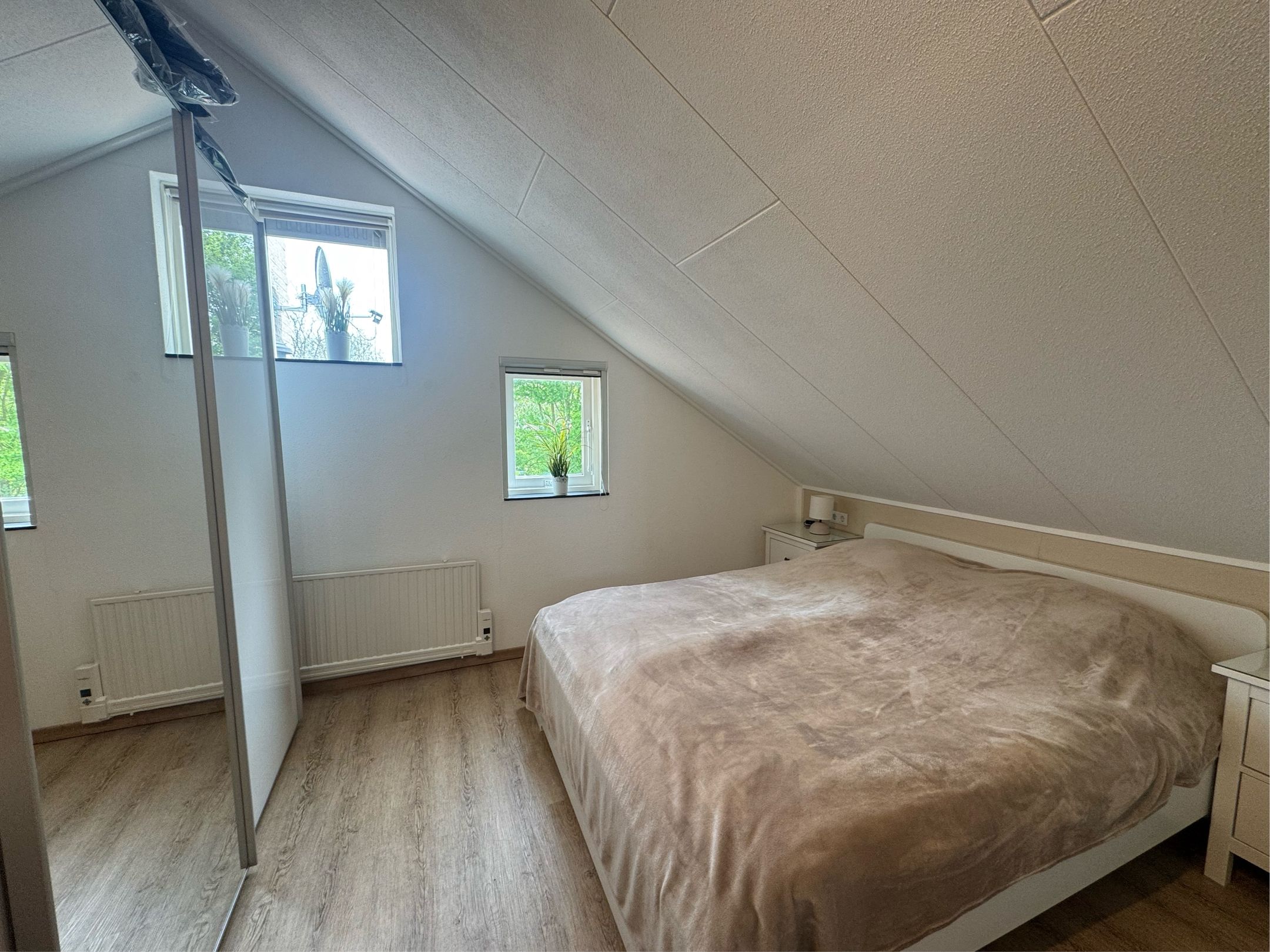 Foto 12 van Mytilus 21